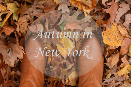 best-fall-things-to-do-new-york