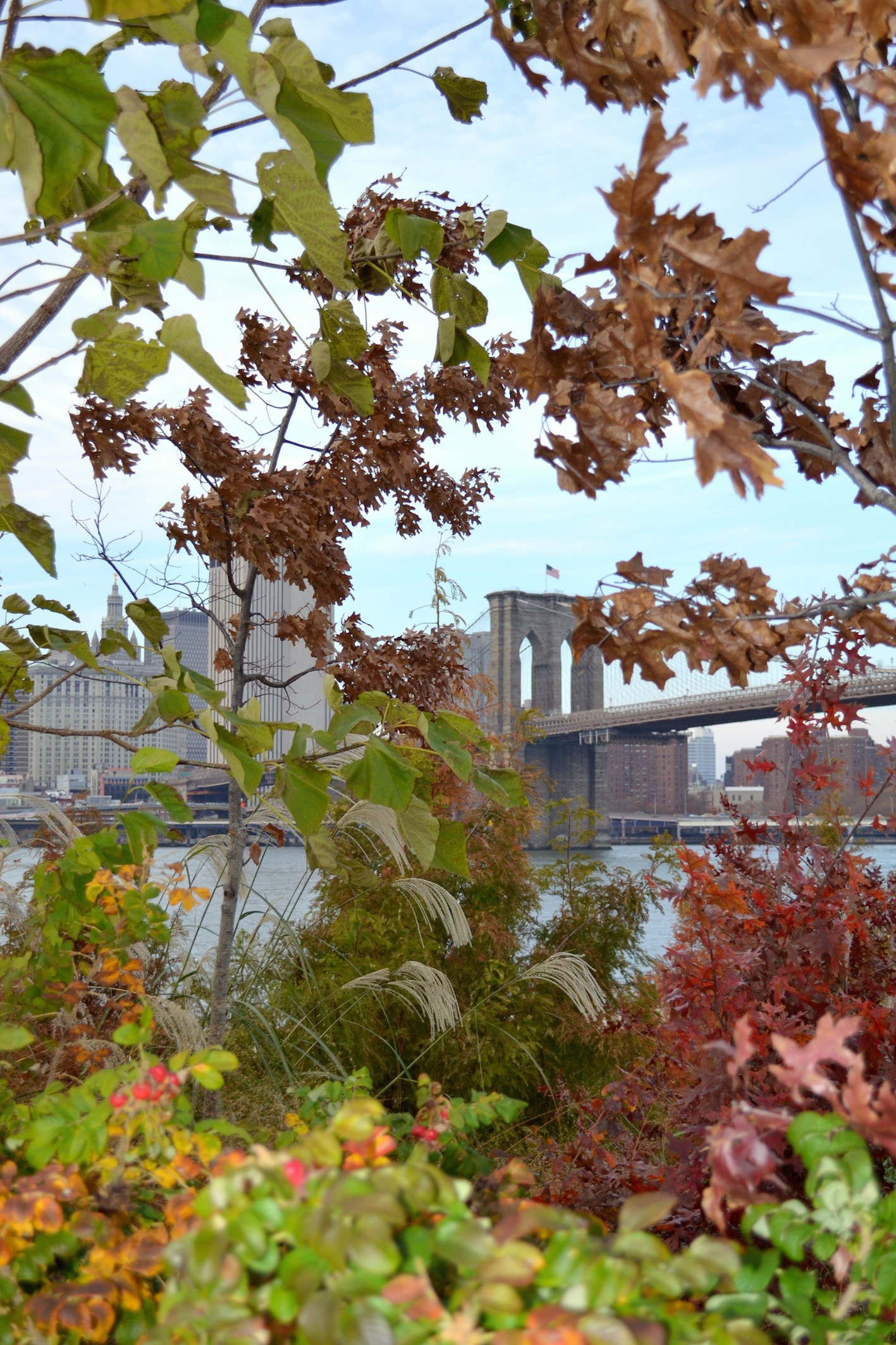 Brooklyn Bridge in the Fall, New York travel blog