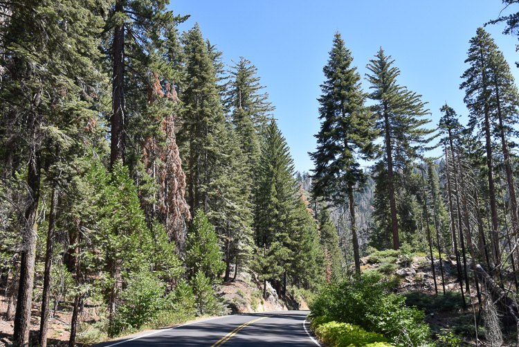 Visiter Yosemite National Park en Californie