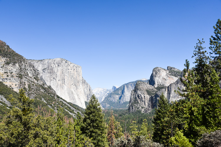 What to see in Yosemite National Park in California