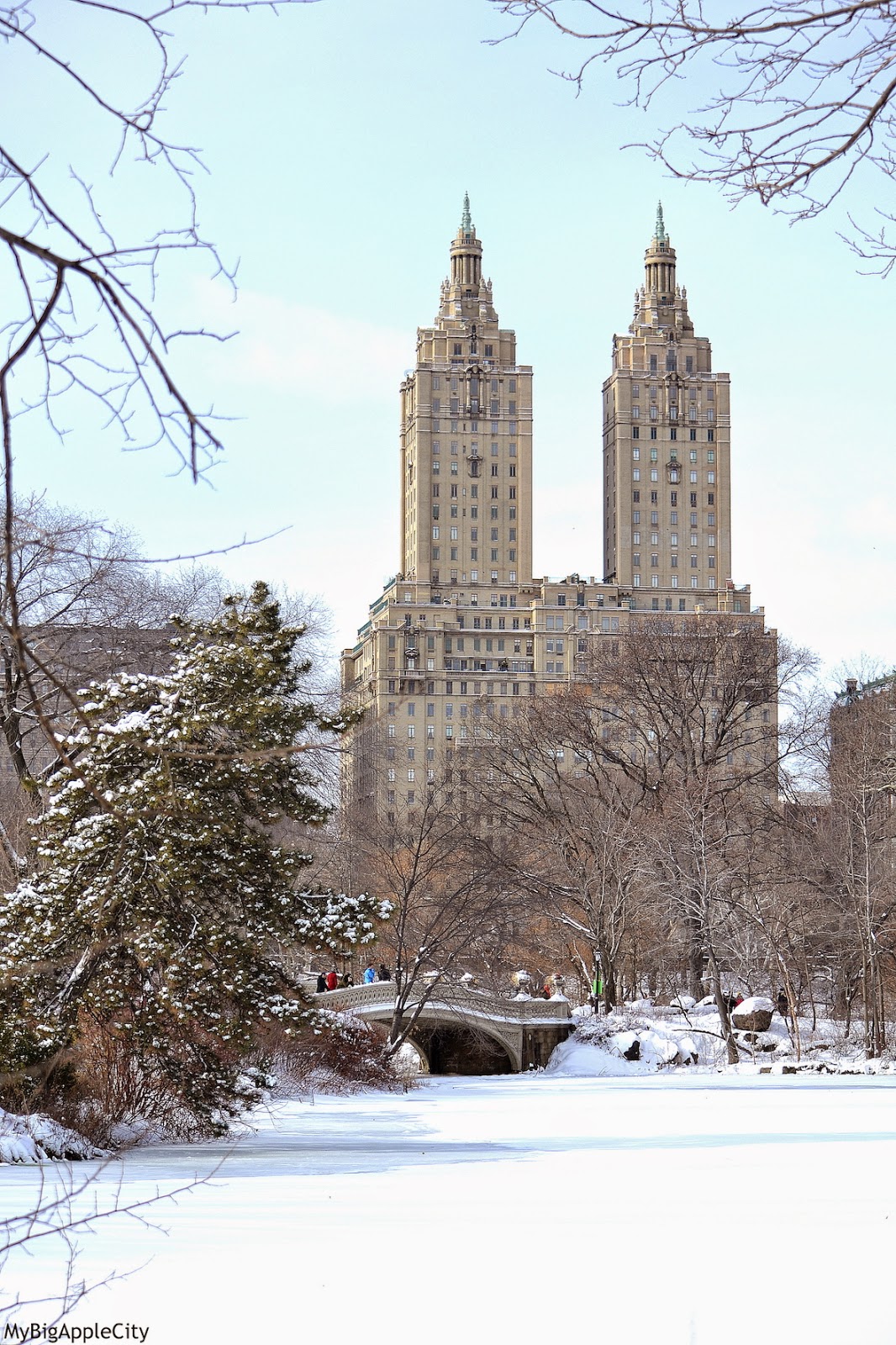 juno-2015-NYC-Blizzard-Central-park-photography