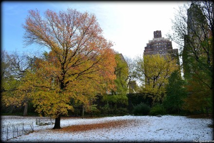 neige-automne-new-york-voyage-usa