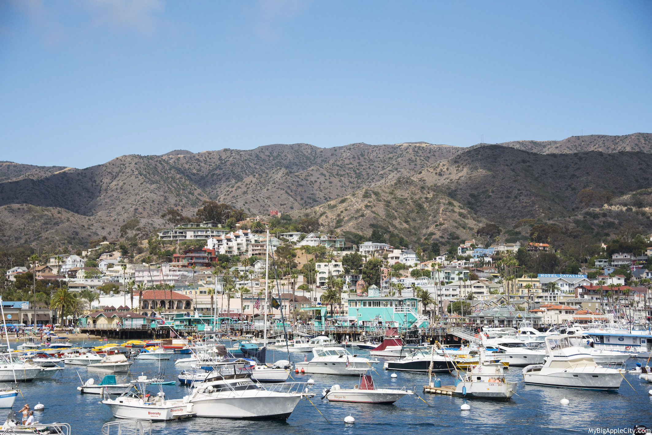 Catalina-Island-Travel-Blogger-USA-MyBigAppleCity