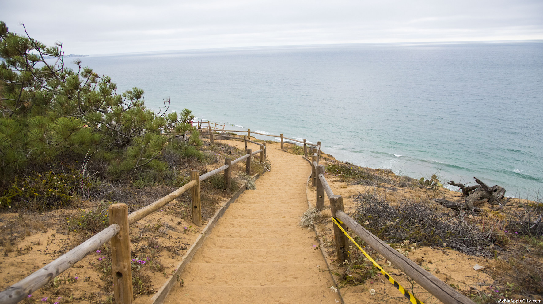 Torrey-pines-hike-San-Diego-Travel-Blogger-USA-MyBigAppleCity