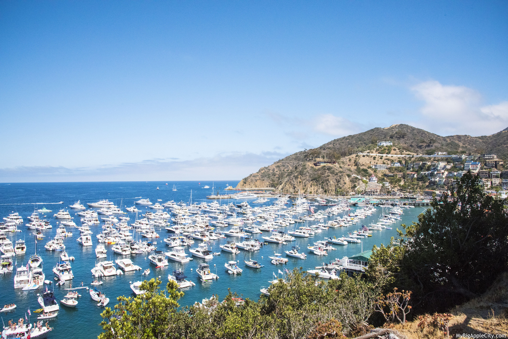 Visit-Catalina-Island-Day-trip-travelblog-summer-MyBigapplecity