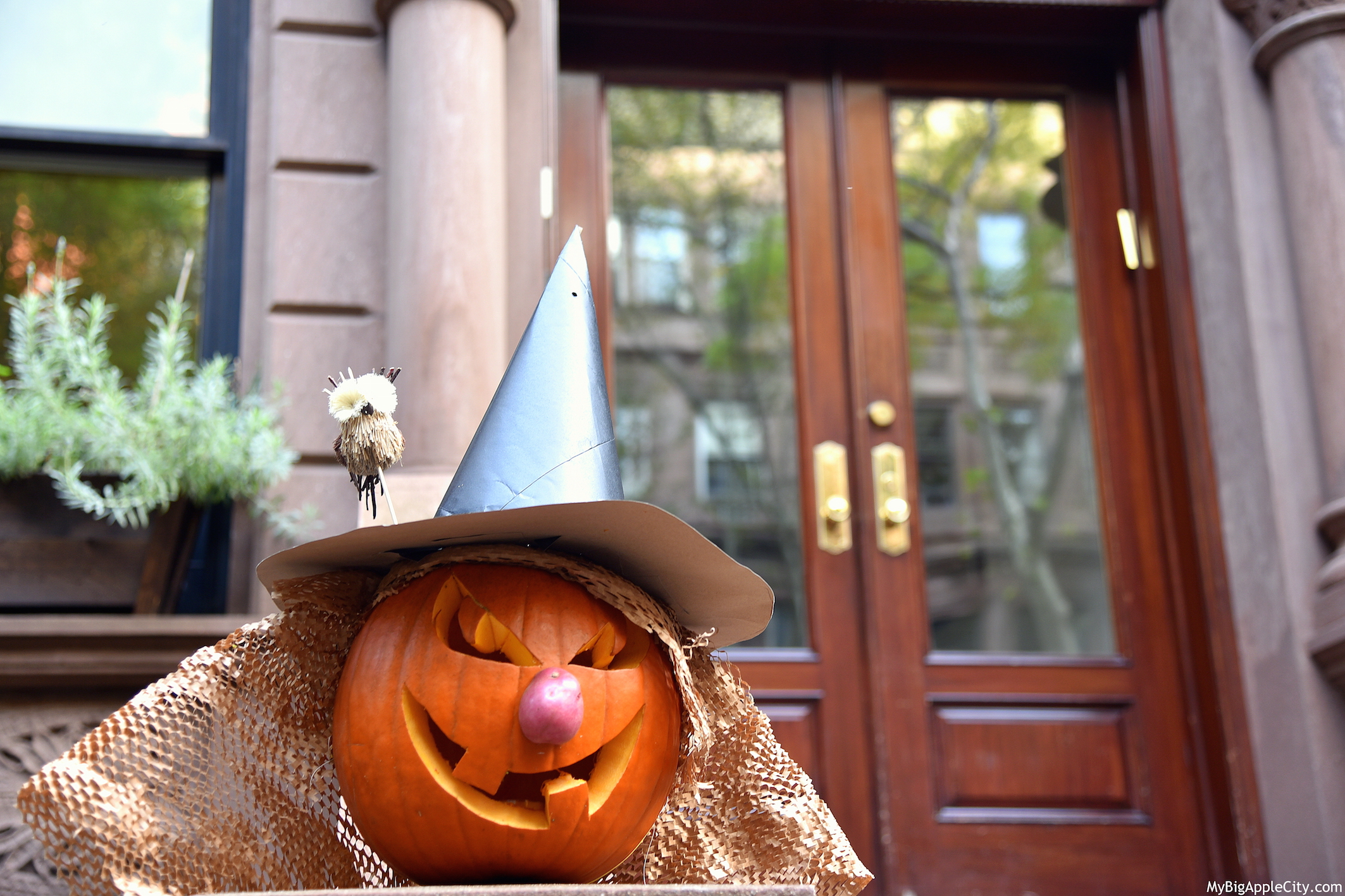 Pumpkin-Halloween-NYC-2015-Lifestyle-blog-newyork