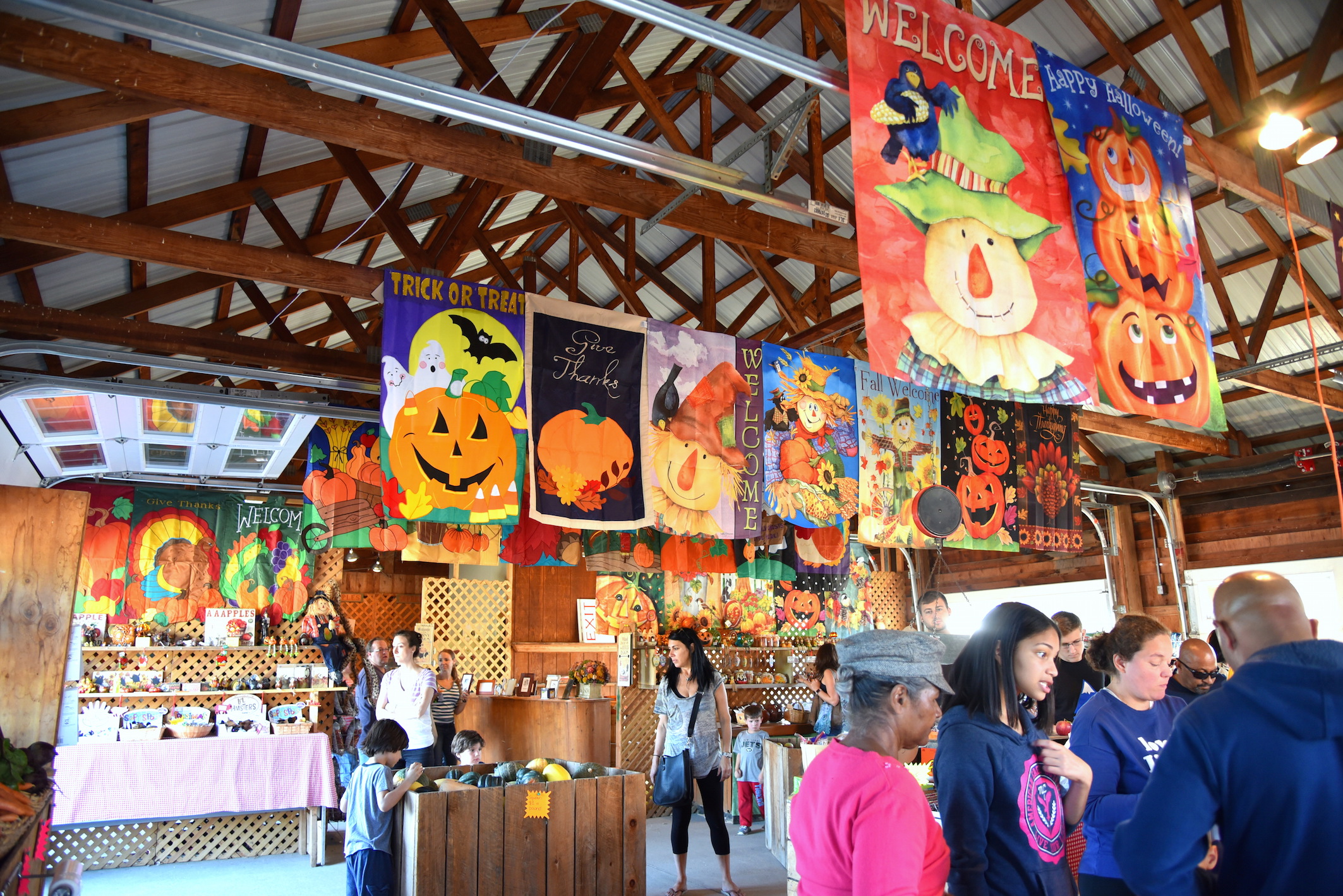 Apple Picking at Dave's Orchard in New York