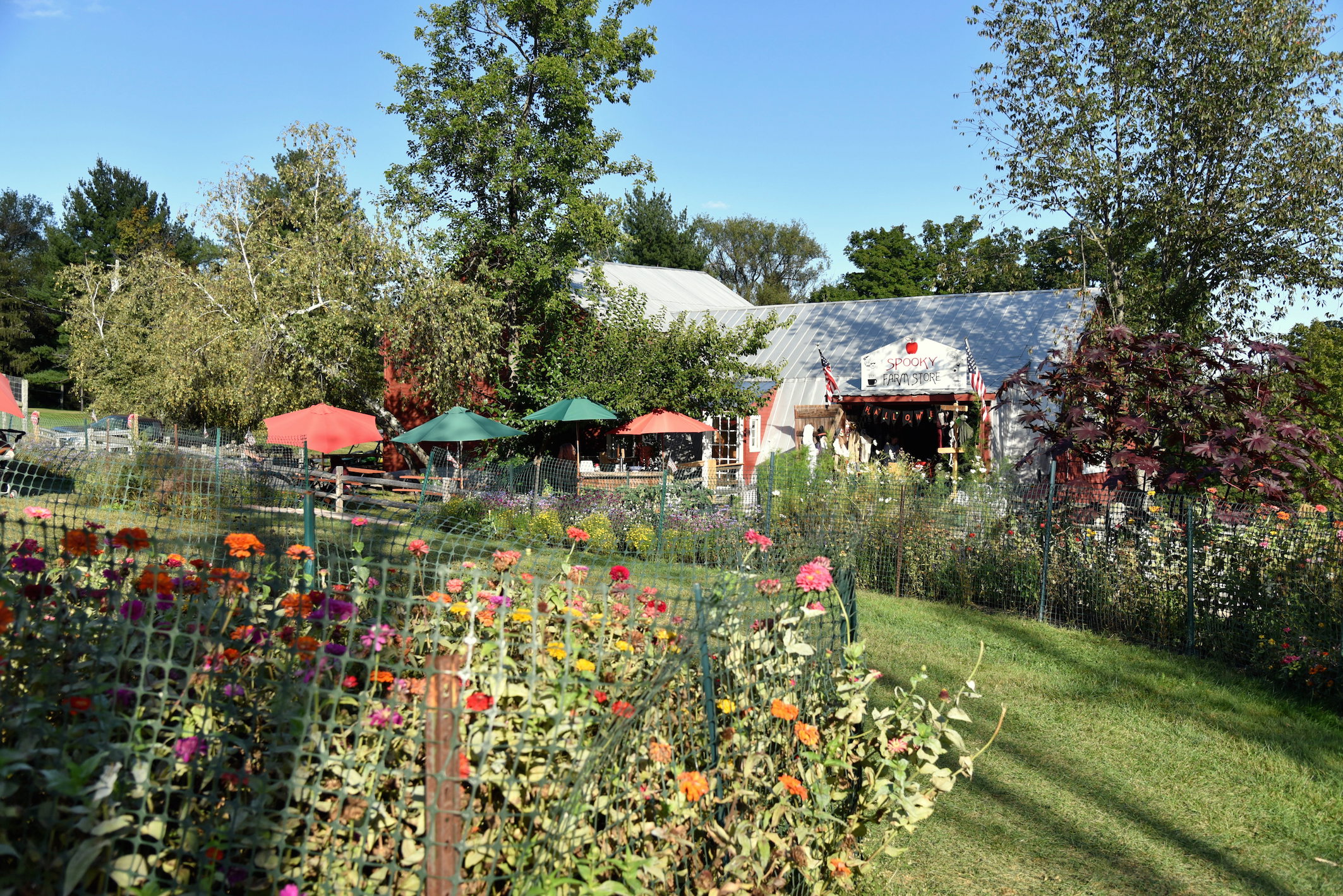 Where to go Apple Picking near NYC