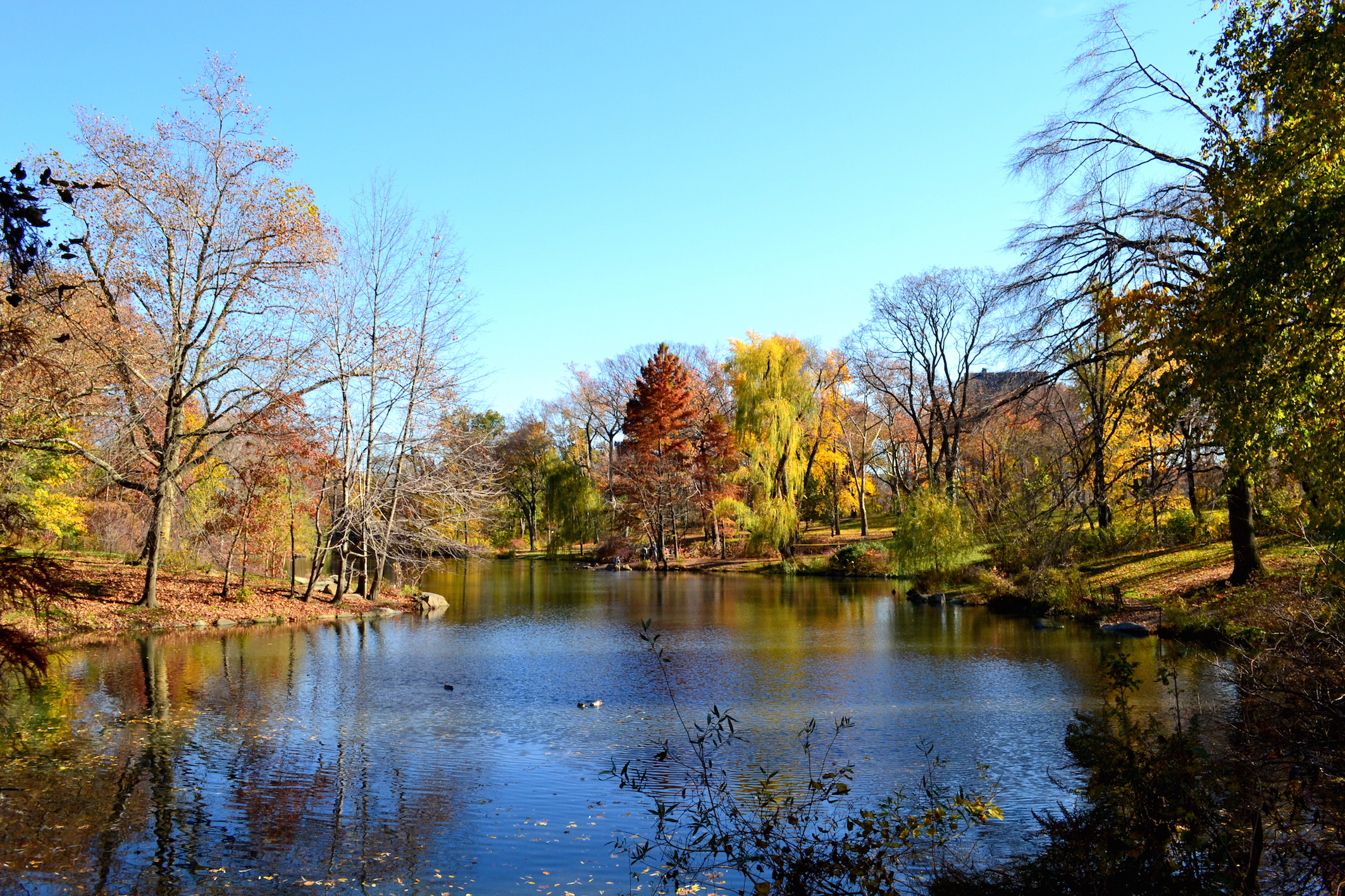 NYC travel blog Central Park Fall 2016