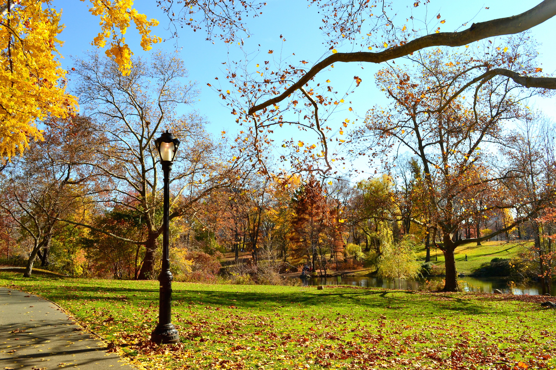 Central Park NYC Fall Foliage photo