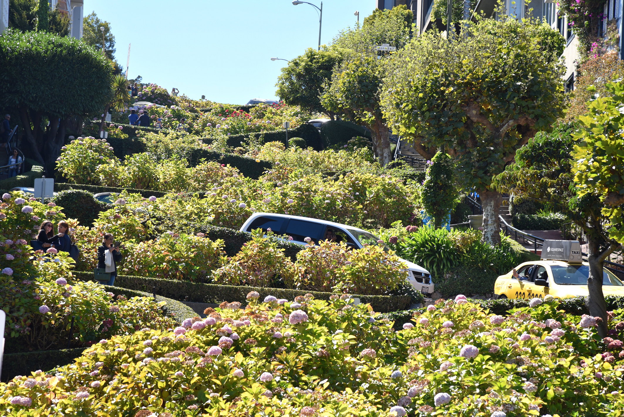 Driving down Lombard Street in San Francisco