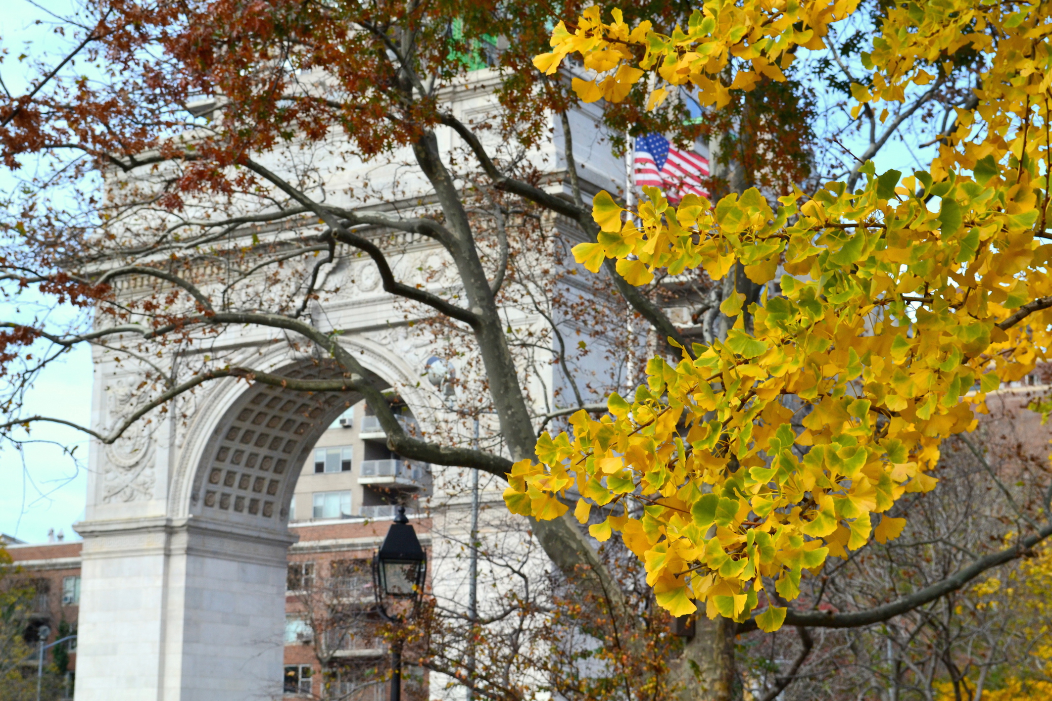 Washington Square Park NYC Fall Foliage Blog voyage