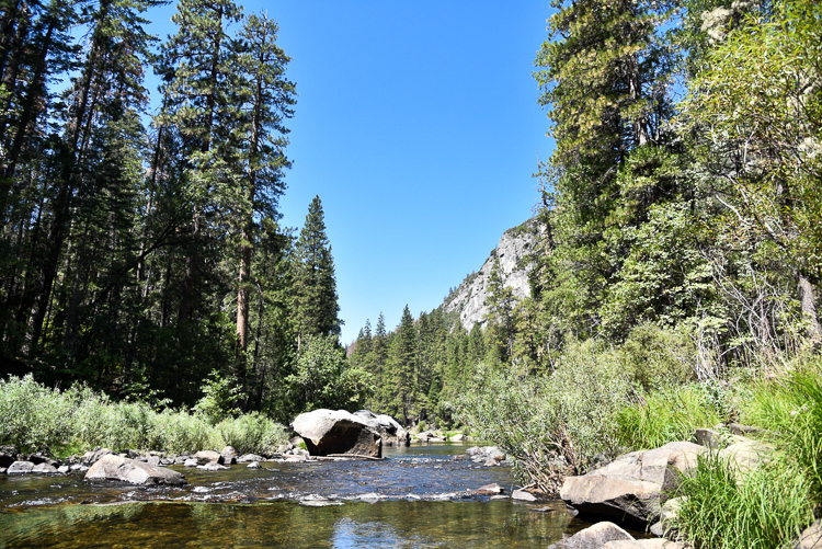 Visit Yosemite National Park Travel blog