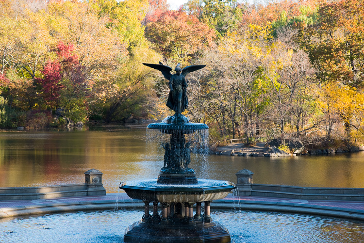 central-park-new-york-2016-blog-voyage-nyc-5