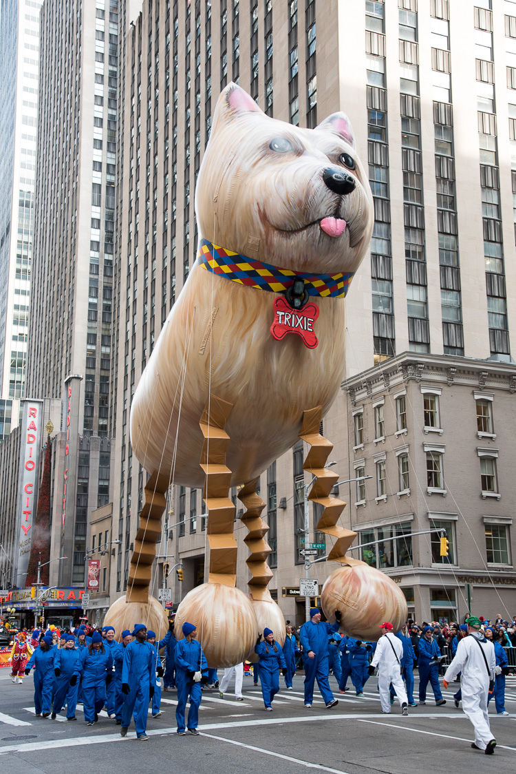 Voir la Parade de Thanksgiving à New York