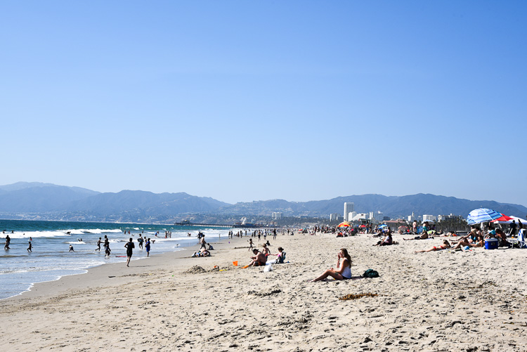 Beach at Venice Beach Los Angeles