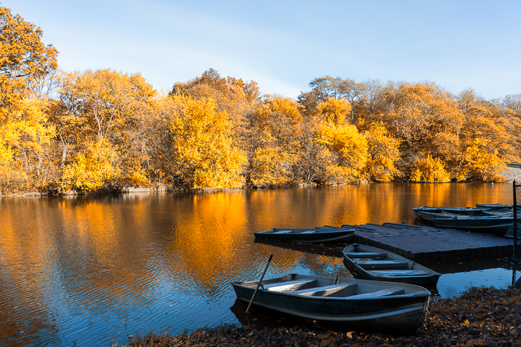 Central Park in the Fall NYC travel blog