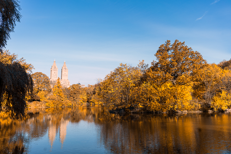 Central Park Fall colors 2017