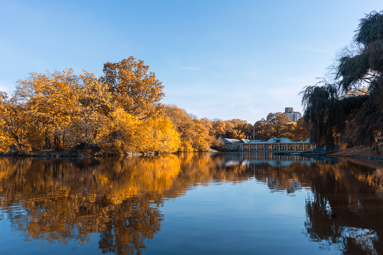 Boathouse Central Park Fall foliage NYC travel blog