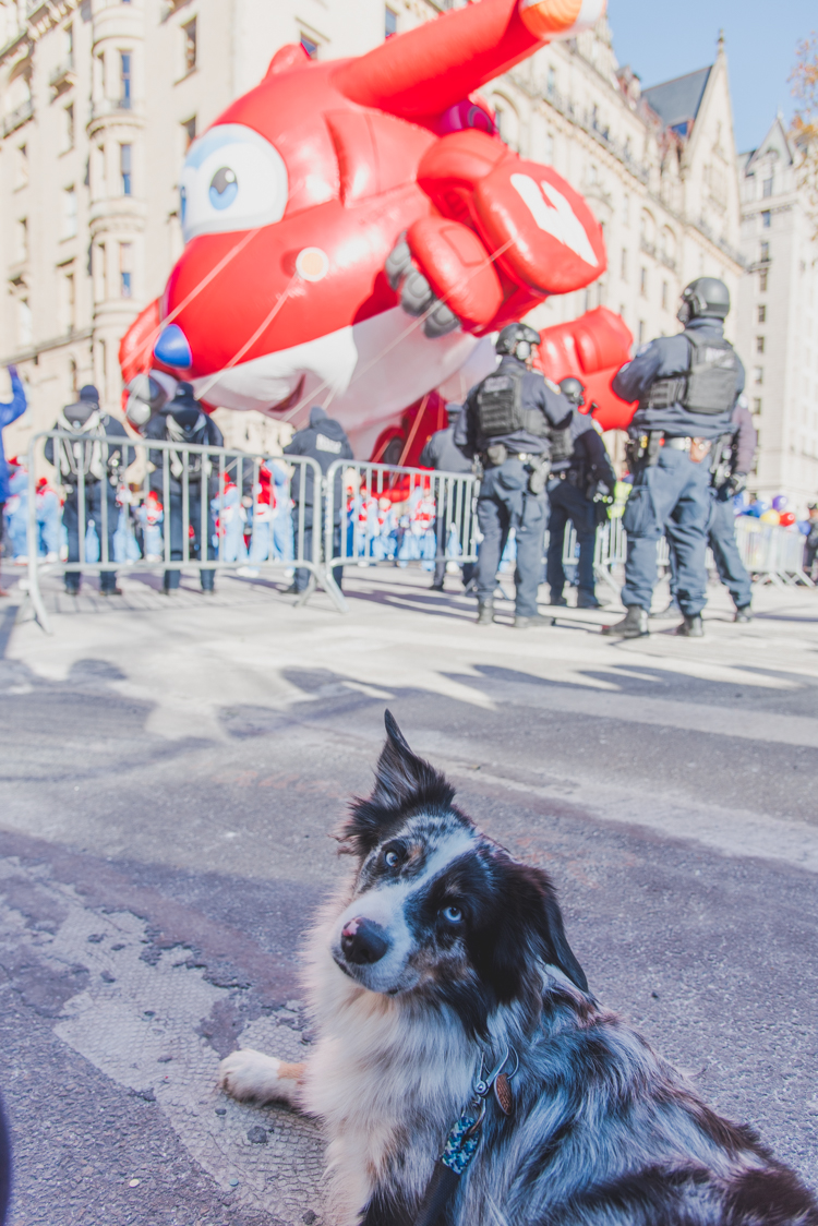 Happy Thanksgiving parade 2018 New York City