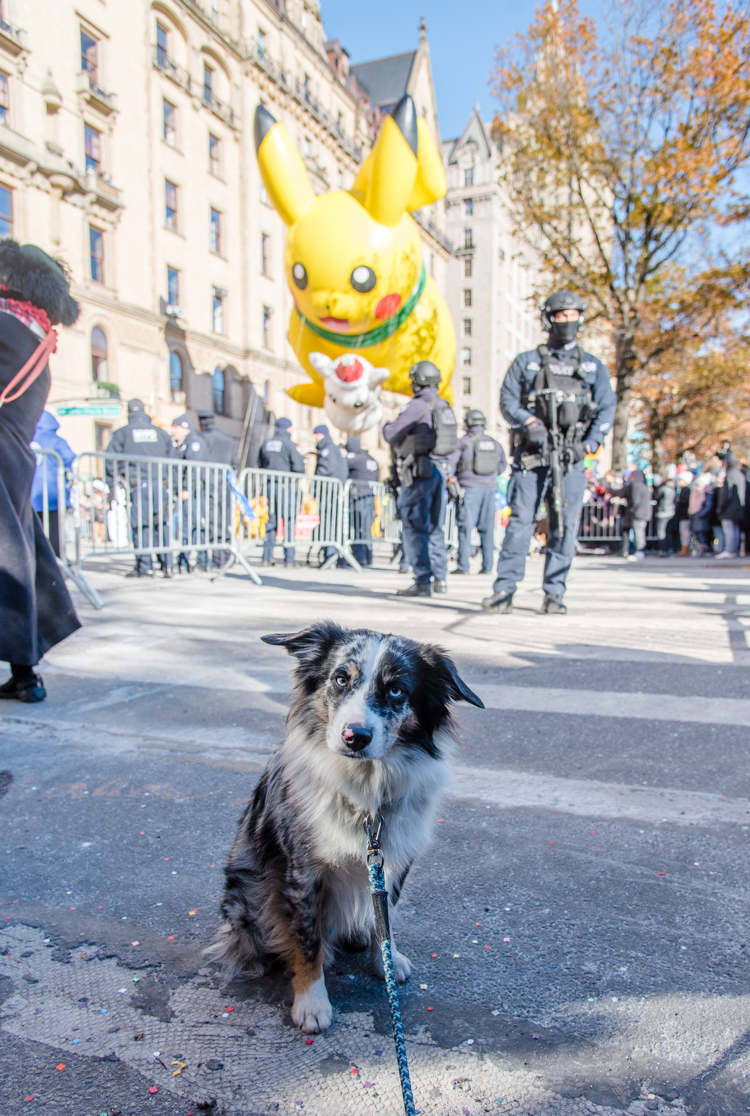 Macy's Thanksgiving parade 2018 New York City Harrison