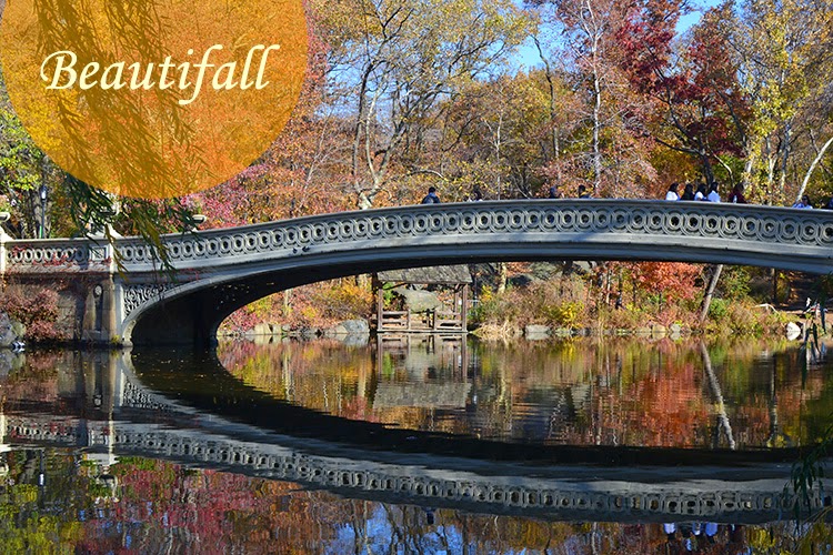 mybigapplecity-fall-autumn-central-park-nyc-travel